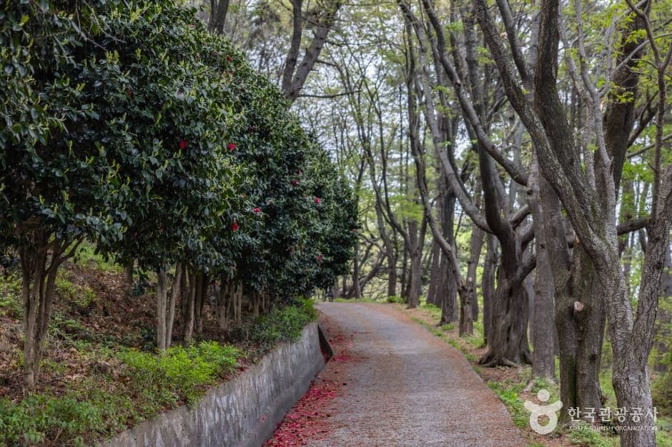 신선대(부산) 사진 7
