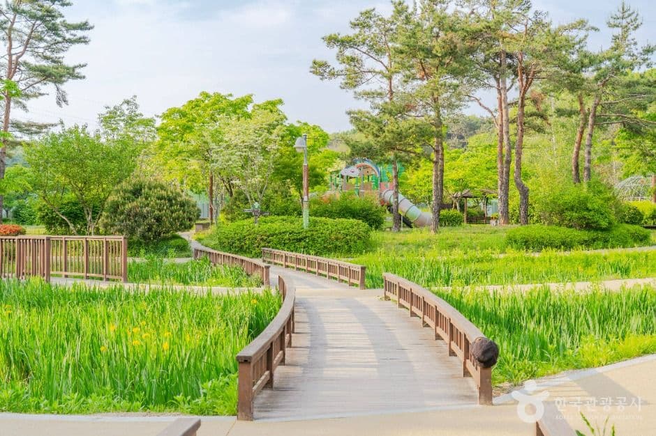 밤밭청개구리공원 사진 2