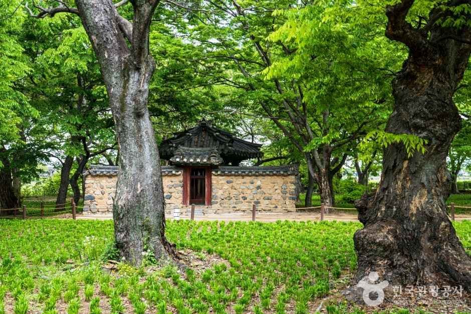 경주 계림 사진 3