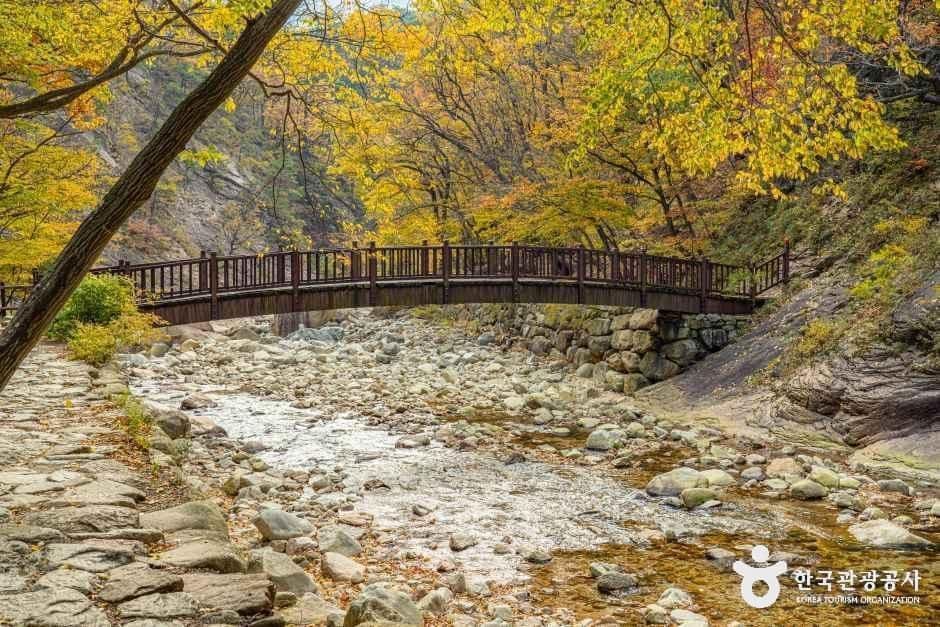 설악산 오색주전골 사진 4