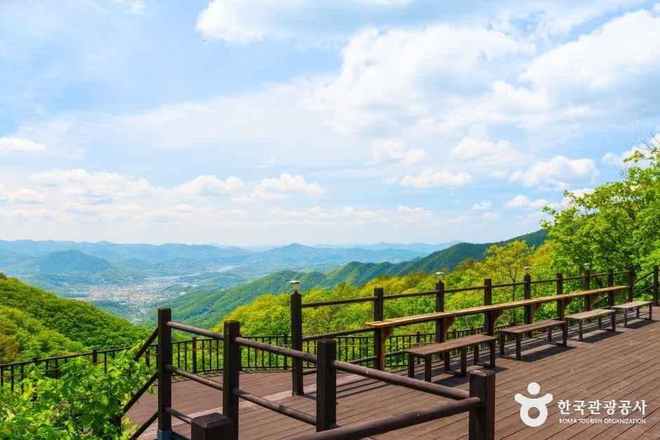 설매재자연휴양림 사진 7