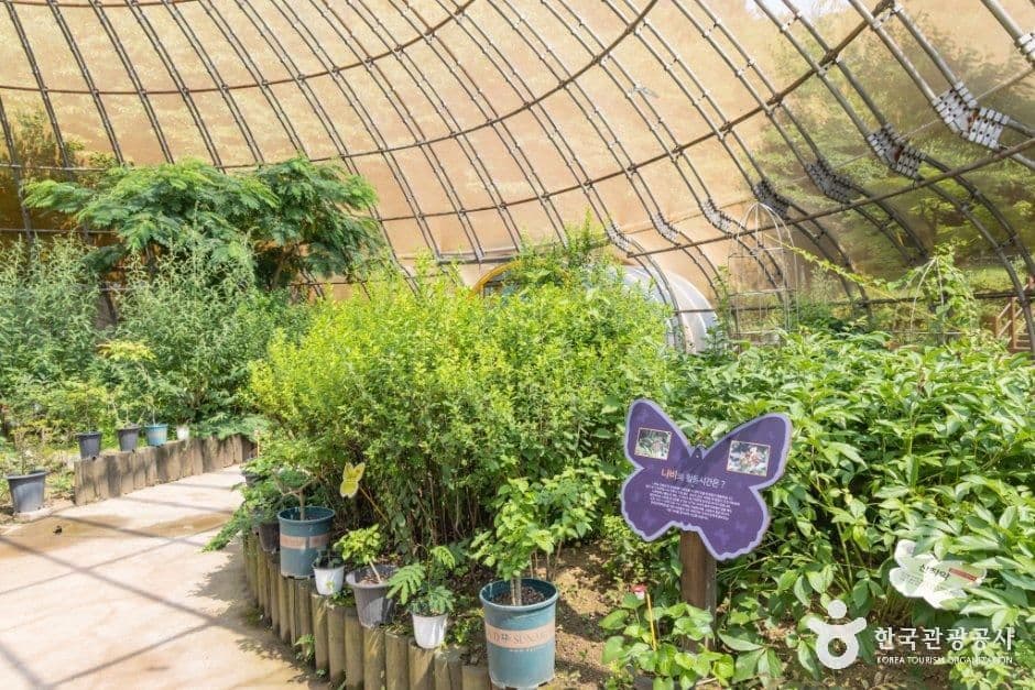 인천나비공원 사진 8