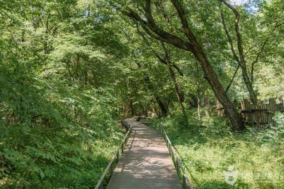 광릉숲길 사진 3