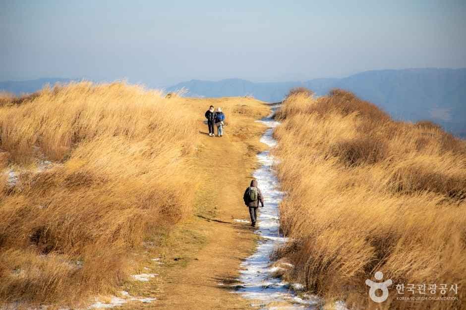 황매산 군립공원 사진 7