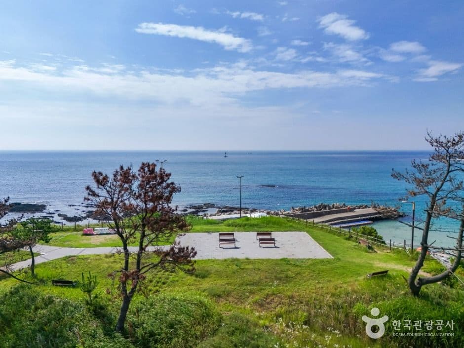 구룡포 주상절리 사진 1