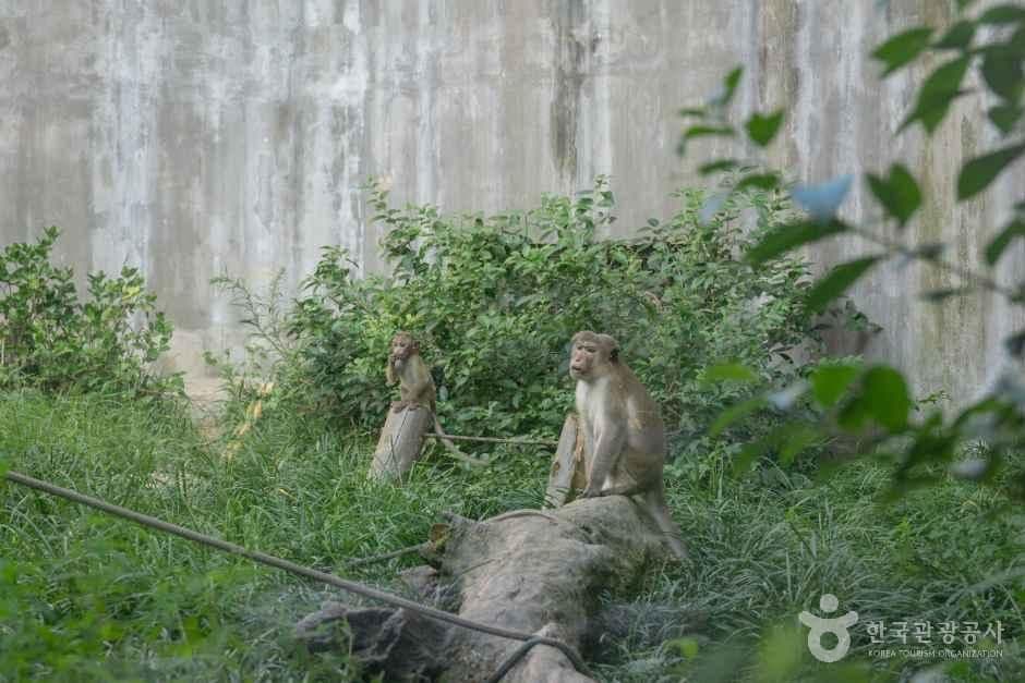 전주동물원 사진 7