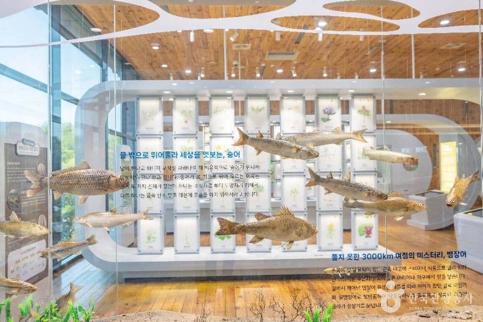 낙동강하구에코센터 사진 6