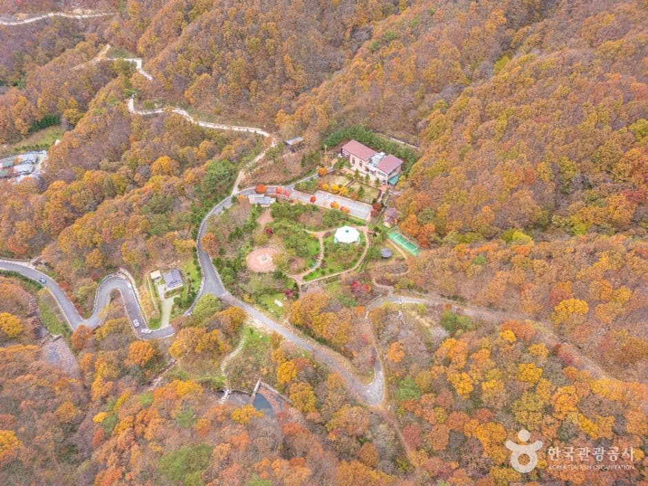데미샘자연휴양림 사진 1