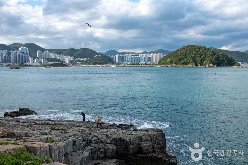 몰운대(부산) 사진 3