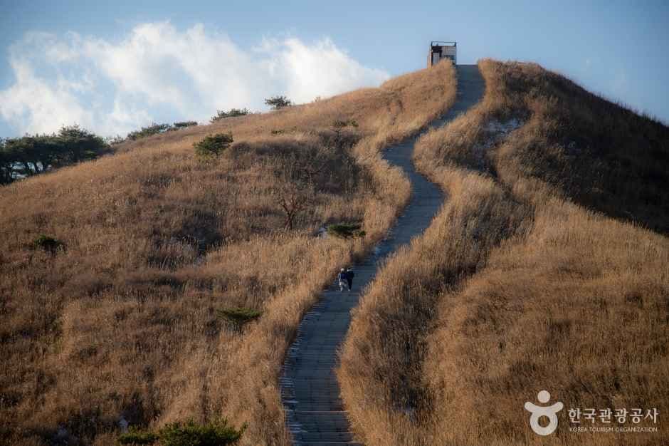 황매산 군립공원 사진 8