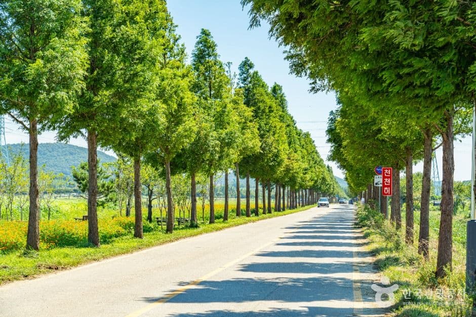 대부바다향기테마파크 사진 4