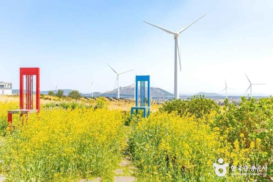 유채꽃프라자 사진 4