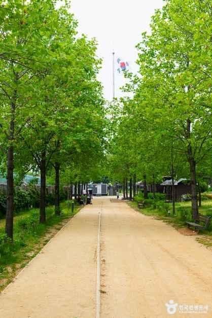 구리한강시민공원(코스모스공원) 사진 7