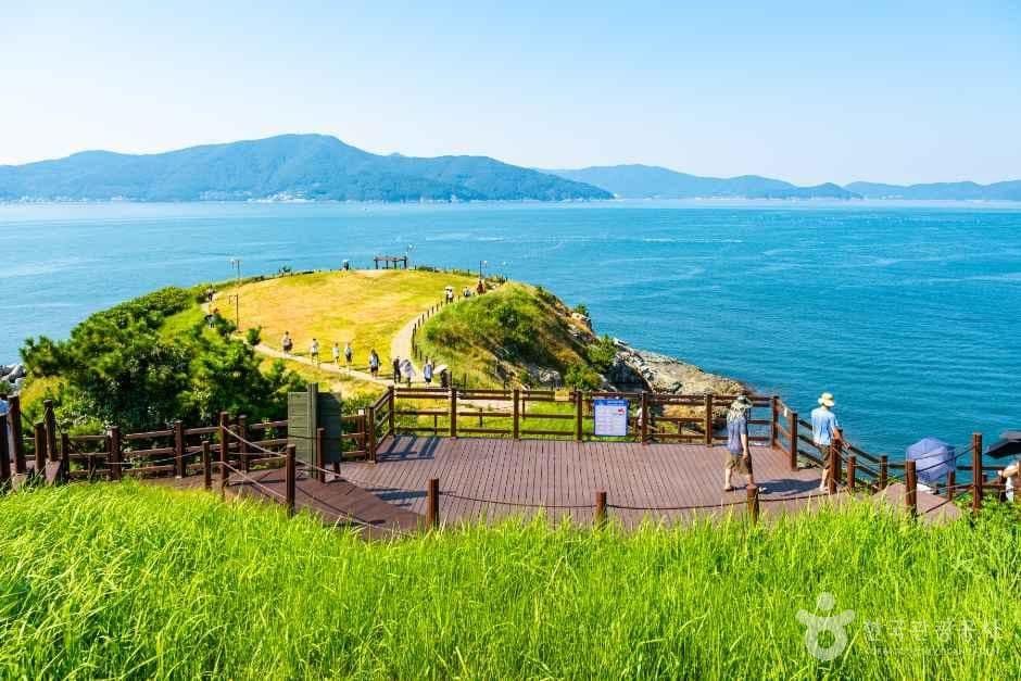 바람의 언덕 사진 1