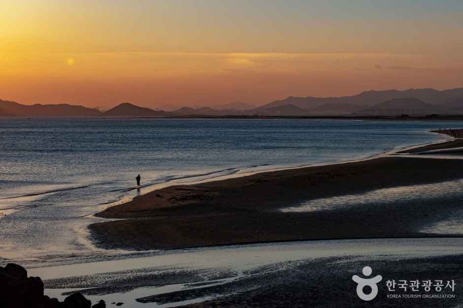 몰운대(부산) 사진 4