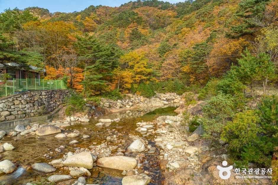 설악산 오색주전골 사진 6