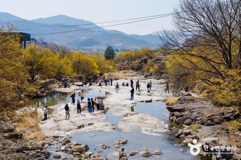 구례 산수유마을 사진 7