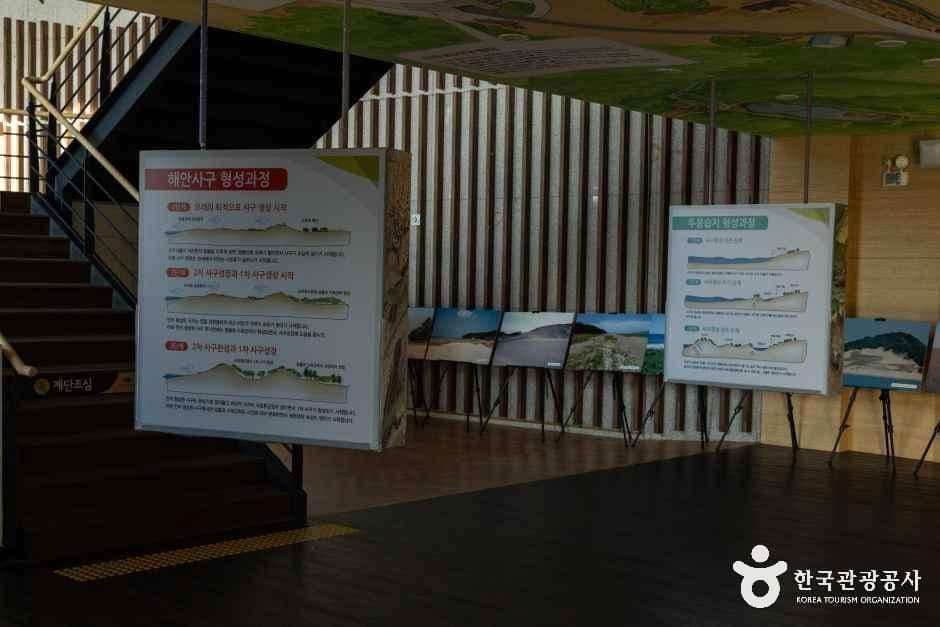 신두리사구센터 사진 3
