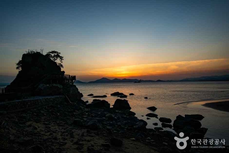 몰운대(부산) 사진 5