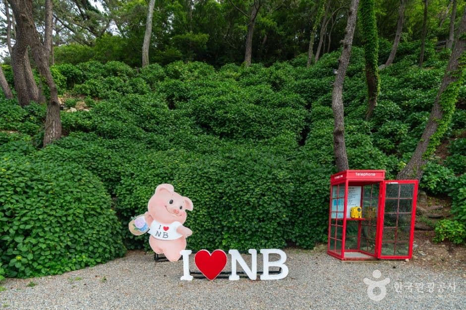 저구항 사진 1
