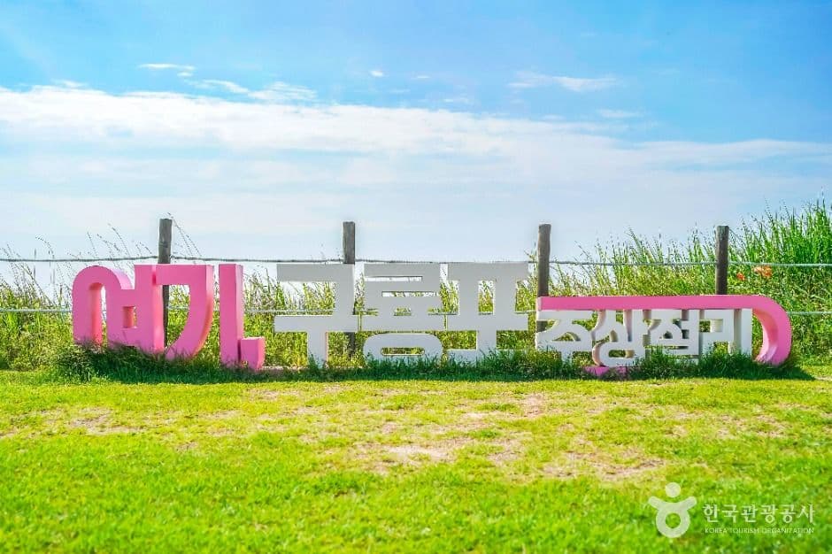 구룡포 주상절리 사진 4