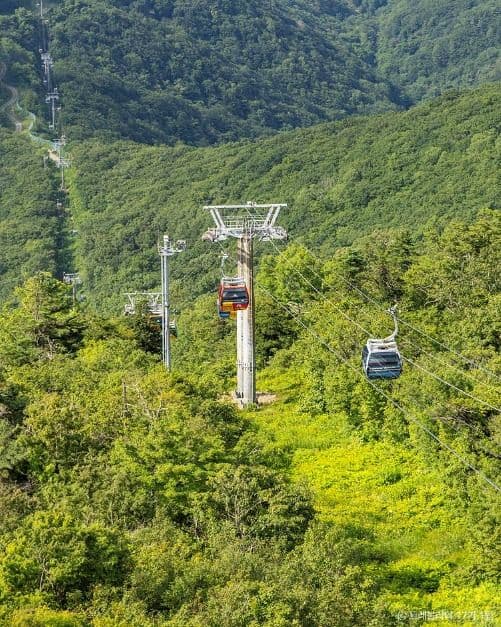 발왕산 관광케이블카 사진 2