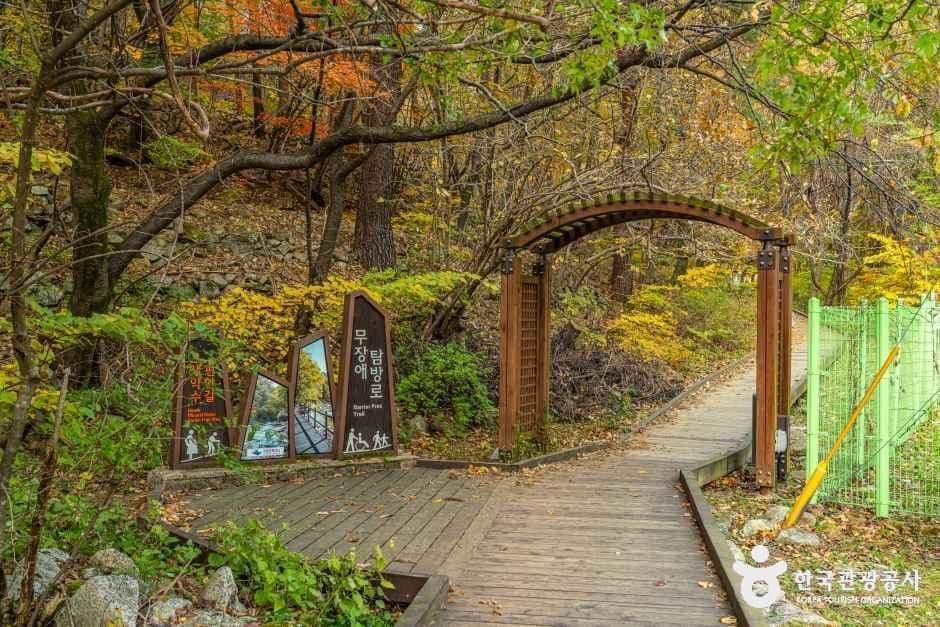 설악산 오색주전골 사진 7