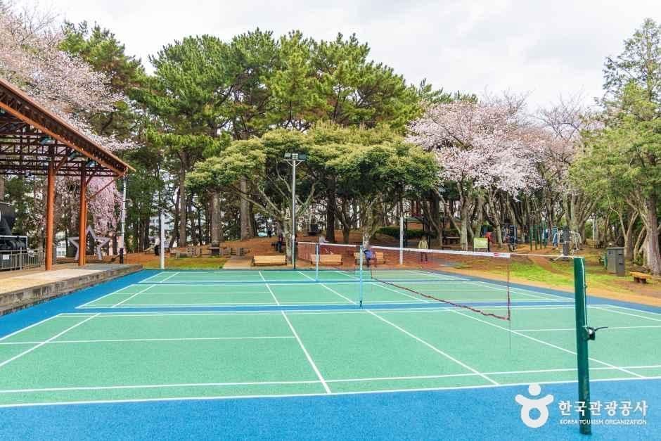 삼무공원 사진 3