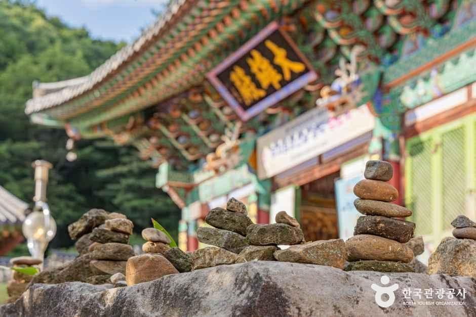 비암사(세종) 사진 2