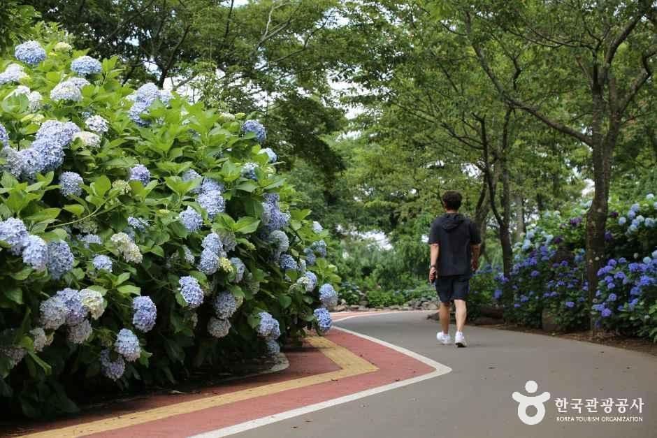 제주동화마을 사진 3