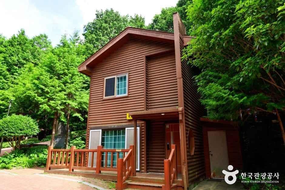 정남진 편백숲 우드랜드 사진 6