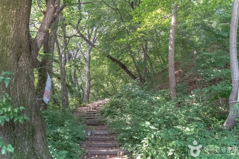 광교산체육공원