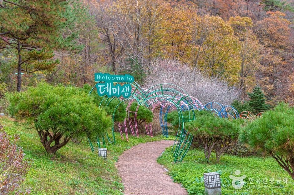 데미샘자연휴양림 사진 3