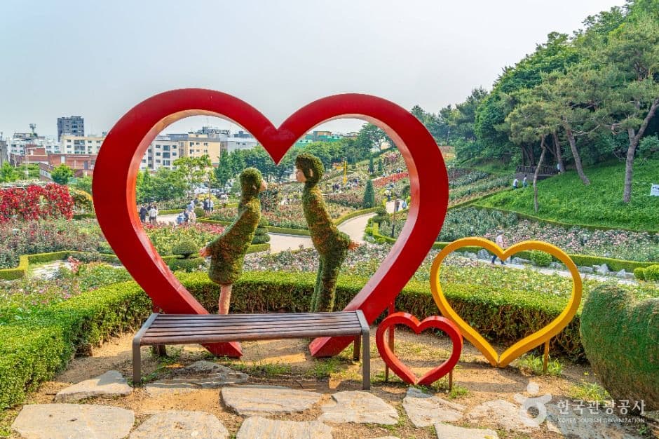 백만송이장미원 사진 1