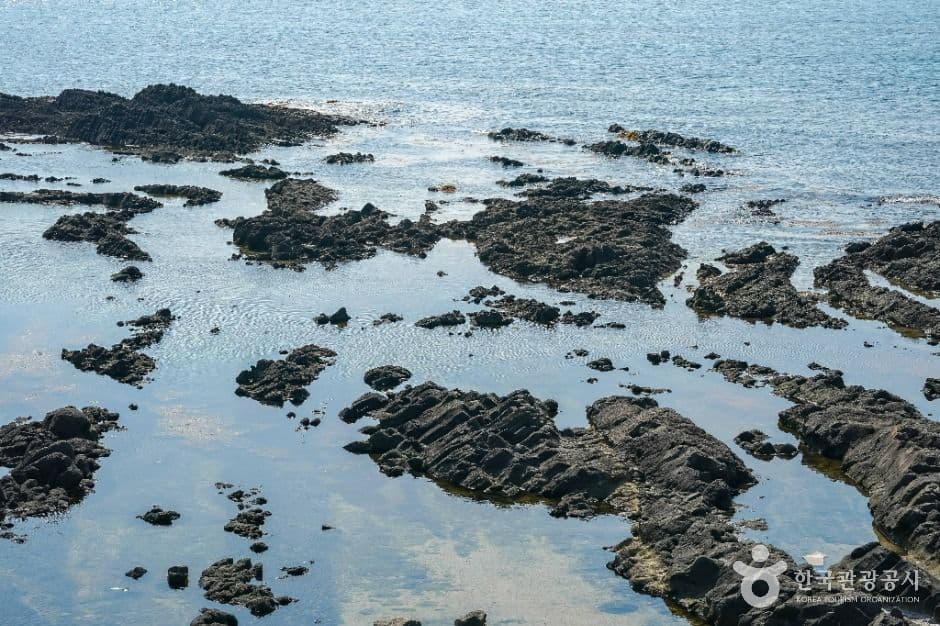 구룡포 주상절리 사진 5