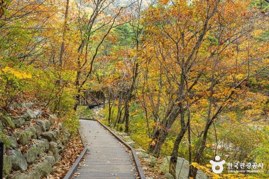 설악산 오색주전골 사진 8