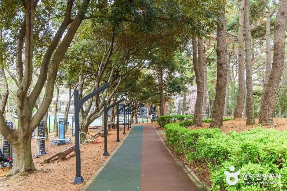 삼무공원 사진 4