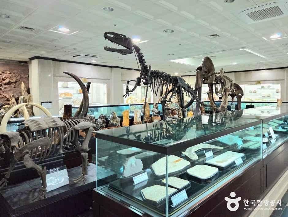 강원종합박물관 사진 1