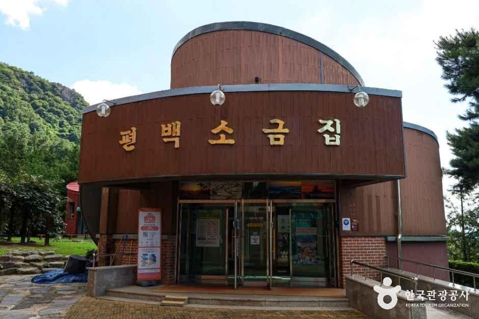 정남진 편백숲 우드랜드 사진 7
