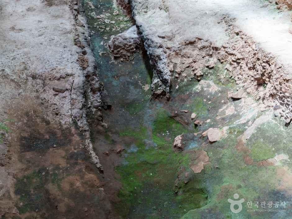 강진 고려청자박물관 사진 5