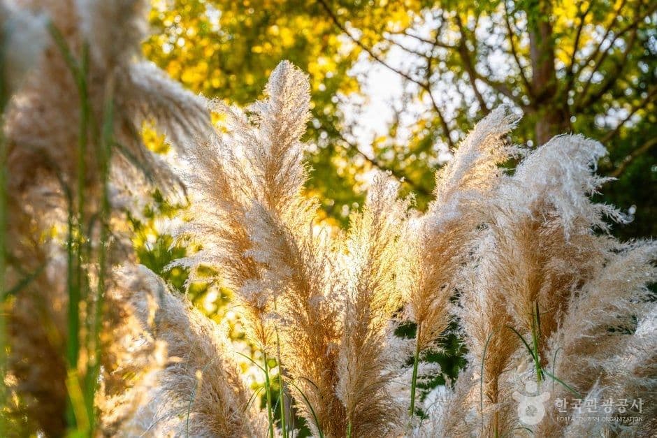 청산수목원 사진 2