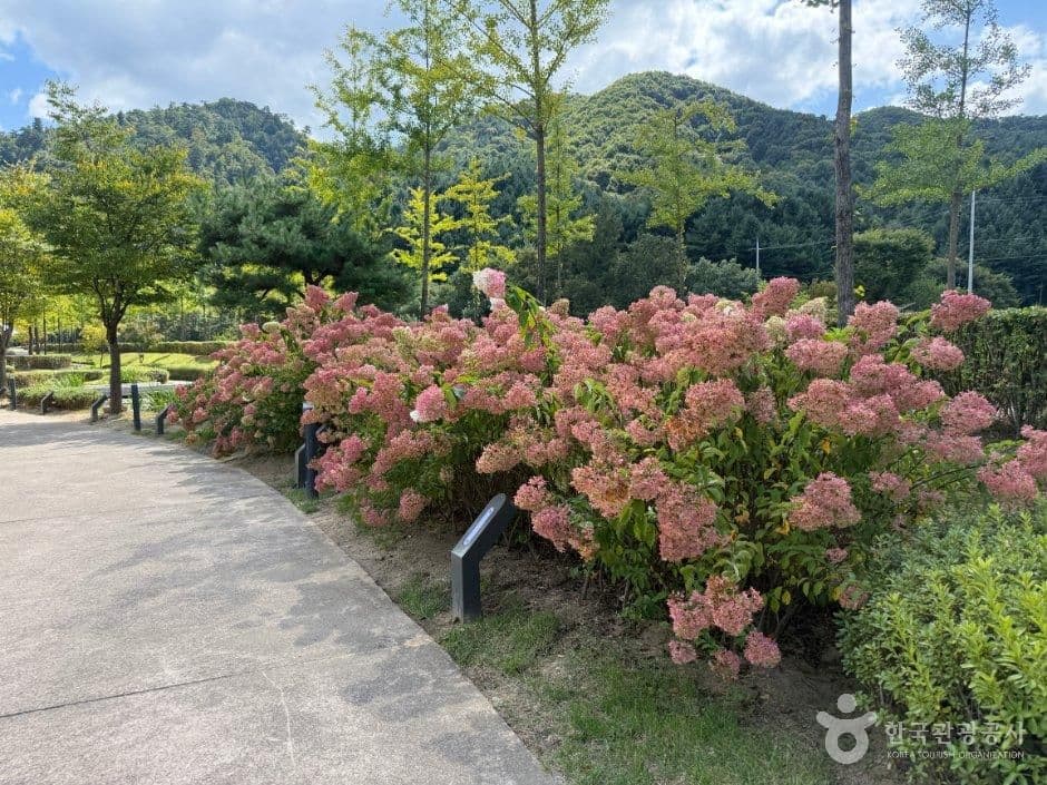 수타사 농촌테마공원 사진 2