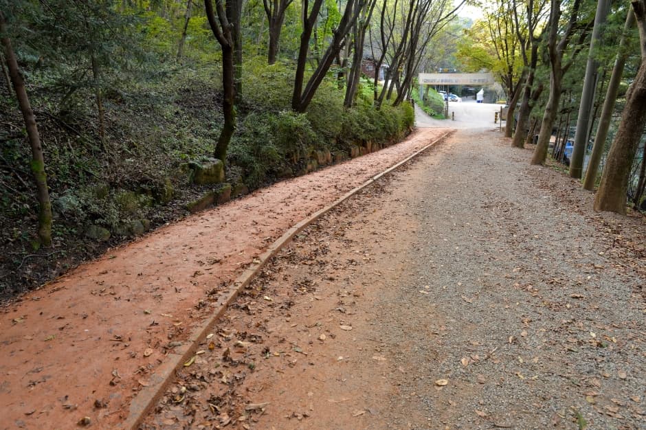 장동산림욕장 사진 2