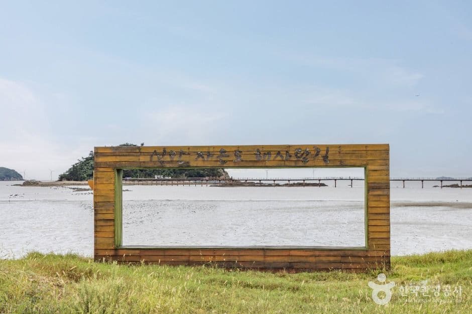 둔장해변 사진 3