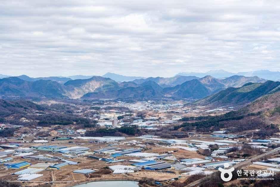용암사(옥천)