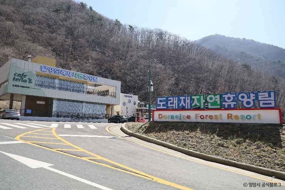 밀양 도래재 자연휴양림