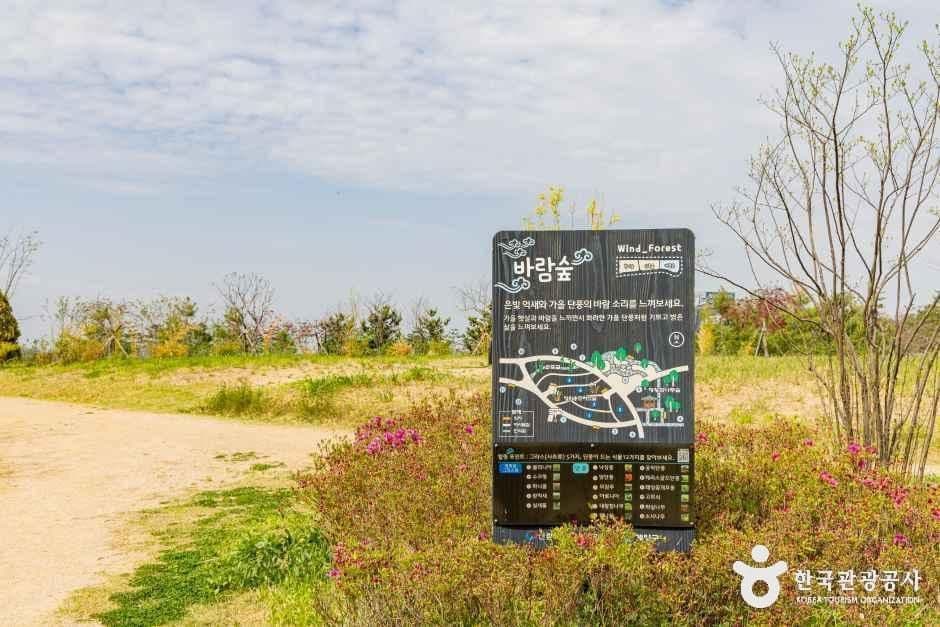 계양꽃마루 사진 2