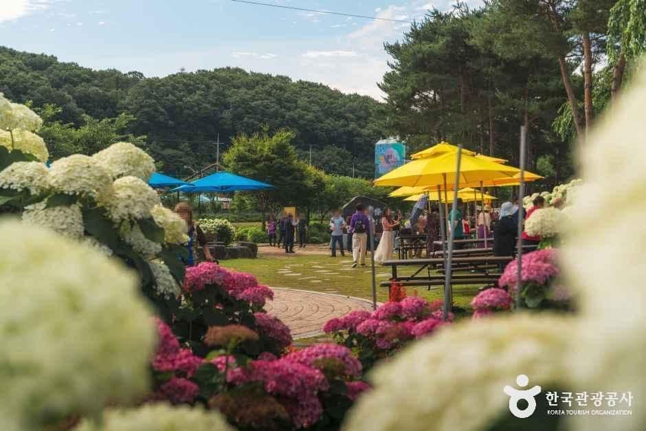 유구색동수국정원