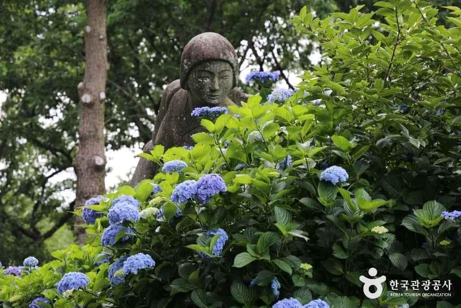 제주동화마을 사진 5