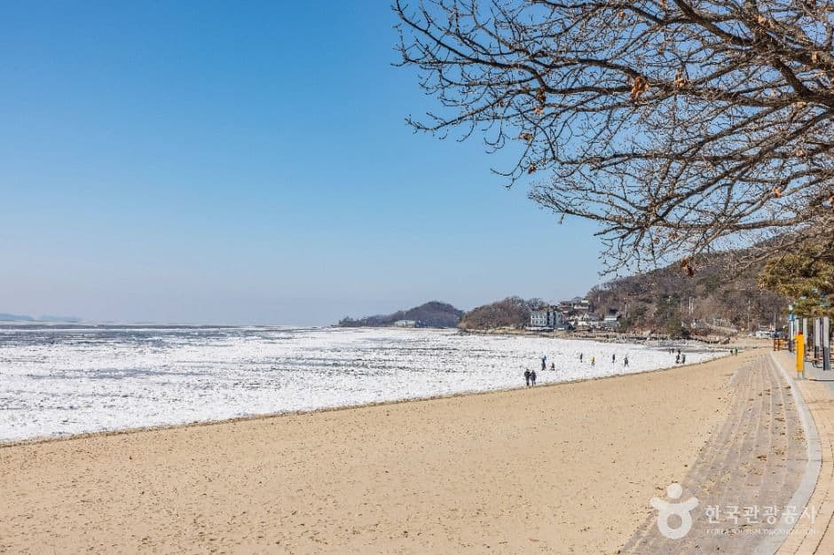 강화 동막해변 사진 2